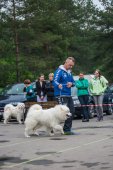 9. Klubová výstava Samojed klubu Slovensko