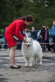 9. Klubová výstava Samojed klubu Slovensko