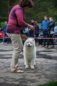 9. Klubová výstava Samojed klubu Slovensko