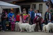 9. Klubová výstava Samojed klubu Slovensko