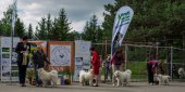 9. Klubová výstava Samojed klubu Slovensko