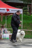 9. Klubová výstava Samojed klubu Slovensko