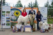 9. Klubová výstava Samojed klubu Slovensko