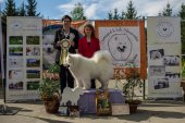9. Klubová výstava Samojed klubu Slovensko