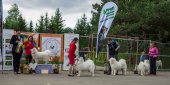 9. Klubová výstava Samojed klubu Slovensko
