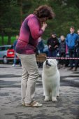 9. Klubová výstava Samojed klubu Slovensko