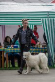 9. Klubová výstava Samojed klubu Slovensko