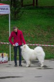 9. Klubová výstava Samojed klubu Slovensko