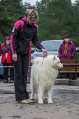 9. Klubová výstava Samojed klubu Slovensko