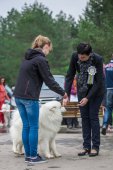 9. Klubová výstava Samojed klubu Slovensko