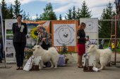 9. Klubová výstava Samojed klubu Slovensko