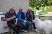 9. Klubová výstava Samojed klubu Slovensko