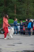 9. Klubová výstava Samojed klubu Slovensko