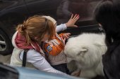 9. Klubová výstava Samojed klubu Slovensko