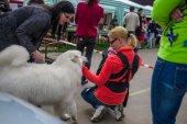 9. Klubová výstava Samojed klubu Slovensko