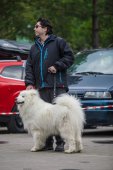 9. Klubová výstava Samojed klubu Slovensko