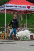 9. Klubová výstava Samojed klubu Slovensko