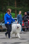 9. Klubová výstava Samojed klubu Slovensko