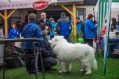 9. Klubová výstava Samojed klubu Slovensko