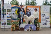 9. Klubová výstava Samojed klubu Slovensko