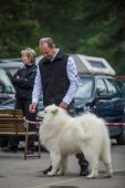 9. Klubová výstava Samojed klubu Slovensko