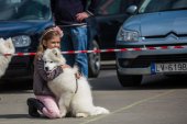 9. Klubová výstava Samojed klubu Slovensko
