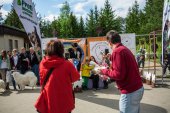 9. Klubová výstava Samojed klubu Slovensko