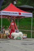 9. Klubová výstava Samojed klubu Slovensko