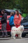 9. Klubová výstava Samojed klubu Slovensko
