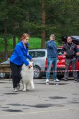 9. Klubová výstava Samojed klubu Slovensko