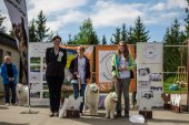 9. Klubová výstava Samojed klubu Slovensko