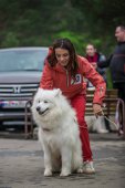 9. Klubová výstava Samojed klubu Slovensko