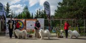 9. Klubová výstava Samojed klubu Slovensko