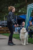 9. Klubová výstava Samojed klubu Slovensko
