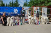 Samoyed days-páteční výstava