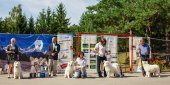 Samoyed days-páteční výstava