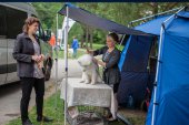 Samoyed days-páteční výstava