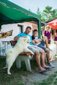 Samoyed days-páteční výstava
