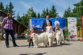 Samoyed days-páteční výstava