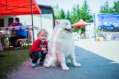 Samoyed days-páteční výstava