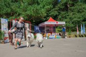 Samoyed days-páteční výstava