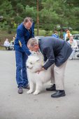 Samoyed days-páteční výstava