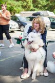 Samoyed days-páteční výstava