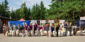Samoyed days-páteční výstava