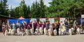 Samoyed days-páteční výstava
