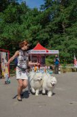 Samoyed days-páteční výstava