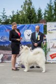 Samoyed days-páteční výstava