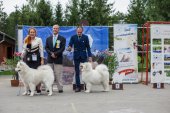 Samoyed days-páteční výstava