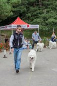 Samoyed days-páteční výstava
