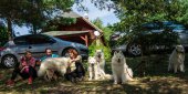 Samoyed days-páteční výstava